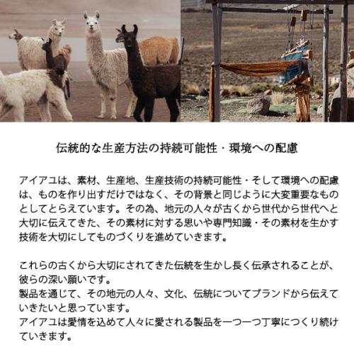 ＜アイアユ＞リネンキッチンタオル（2枚セット）