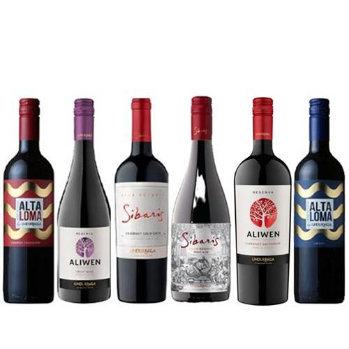 世界最高赤ワイン醸造家が造るウンドラーガ赤ワイン6本セット